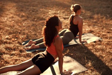 Sıcak ve güneşli bir yaz gününde iki kadın parkta yoga yapıyor ve esneme hareketleri yapıyor..