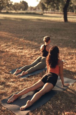 Sıcak ve güneşli bir yaz gününde iki kadın parkta yoga yapıyor ve esneme hareketleri yapıyor..