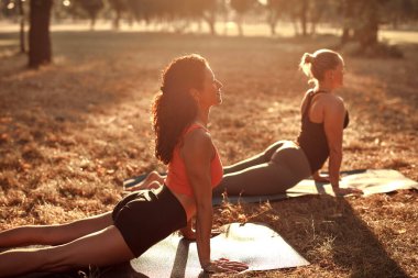 Sıcak ve güneşli bir yaz gününde iki kadın parkta yoga yapıyor ve esneme hareketleri yapıyor..
