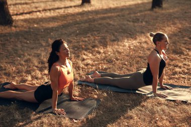 Sıcak ve güneşli bir yaz gününde iki kadın parkta yoga yapıyor ve esneme hareketleri yapıyor..