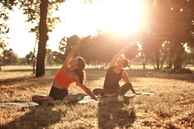 Sıcak ve güneşli bir yaz gününde iki kadın parkta yoga yapıyor ve esneme hareketleri yapıyor..