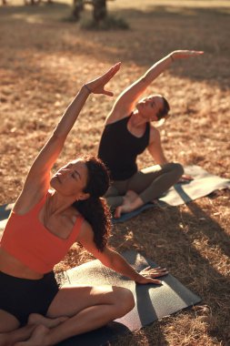 Sıcak ve güneşli bir yaz gününde iki kadın parkta yoga yapıyor ve esneme hareketleri yapıyor..