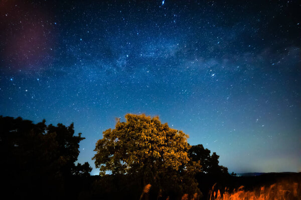 Milky Way stars and rural countryside tree silhouettes