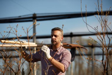 Bahçe tırmığı ve organik yaban mersini çiftliğinde aletleri olan bir adam..