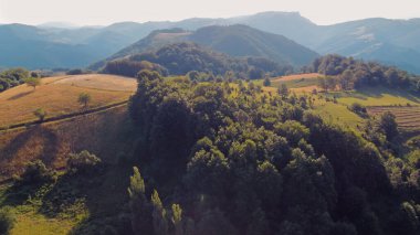 Yeşil tarlaları ve tepeleri olan sakin güneşli yaz manzarası.