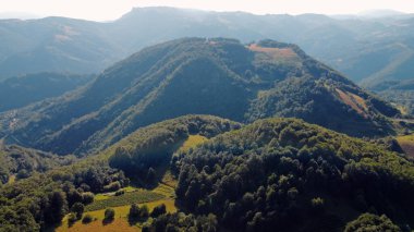 Yeşil tarlaları ve tepeleri olan sakin güneşli yaz manzarası.