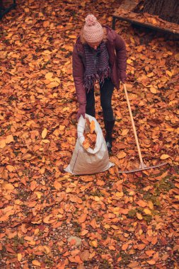 Düşen sonbahar yapraklarından bahçeyi temizleyen kadın..