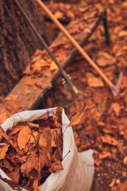 Düşen yaprakları toplamak için çanta ve bahçe aletleri.