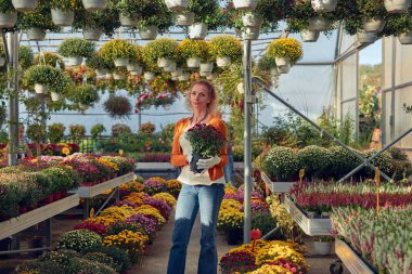 Çiçek yetiştirme yurdunda çalışan bir kadın, bitkilerle ilgileniyor ve onu satmak için hazırlıyor..