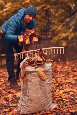 Adam düşen sonbahar yapraklarından bahçeyi temizliyor..