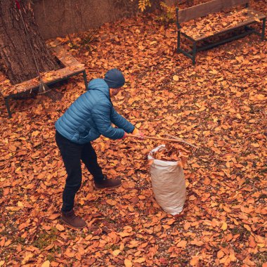Adam düşen sonbahar yapraklarından bahçeyi temizliyor..
