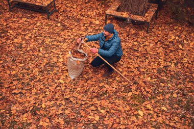 Adam düşen sonbahar yapraklarından bahçeyi temizliyor..