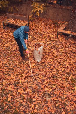 Adam düşen sonbahar yapraklarından bahçeyi temizliyor..
