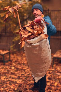 Adam düşen sonbahar yapraklarından bahçeyi temizliyor..