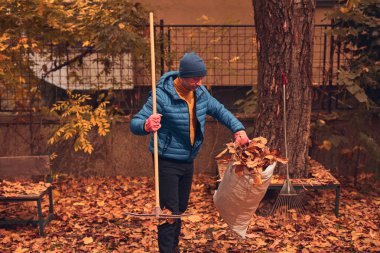 Adam düşen sonbahar yapraklarından bahçeyi temizliyor..