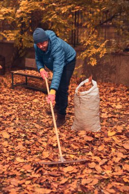 Adam düşen sonbahar yapraklarından bahçeyi temizliyor..
