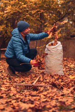 Adam düşen sonbahar yapraklarından bahçeyi temizliyor..