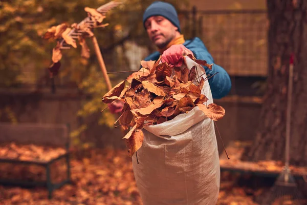 Adam düşen sonbahar yapraklarından bahçeyi temizliyor..