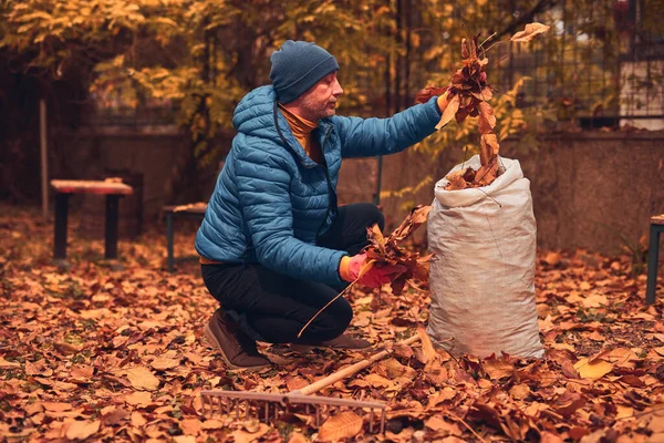 Adam düşen sonbahar yapraklarından bahçeyi temizliyor..