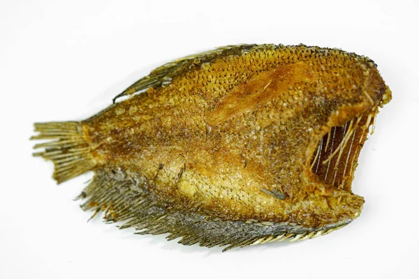 Närbild Stekt Gourami Fisk Vit Bakgrund — Stockfoto