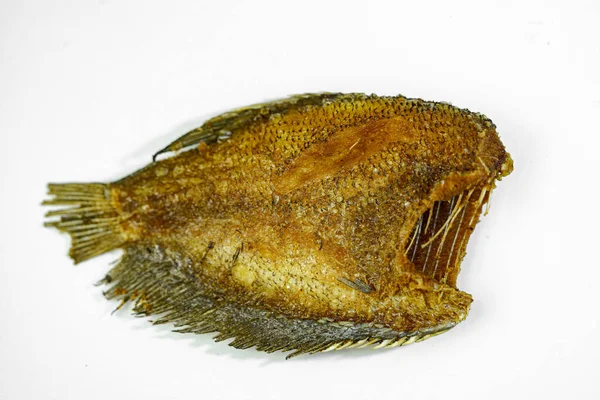 Close Fried Gourami Fish White Background — Stock Photo, Image