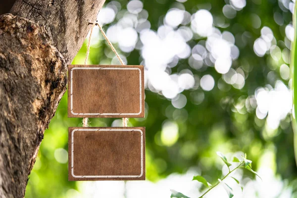 Blanco Houten Bord Opknoping Een Grote Boom Groene Blad Bokeh — Stockfoto