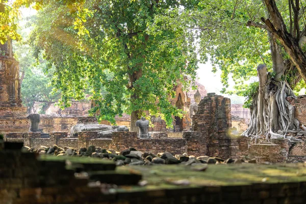 Arquitetura Famoso Templo Antigo Ayutthaya Templo Phra Nakhon Ayutthaya Parque — Fotografia de Stock