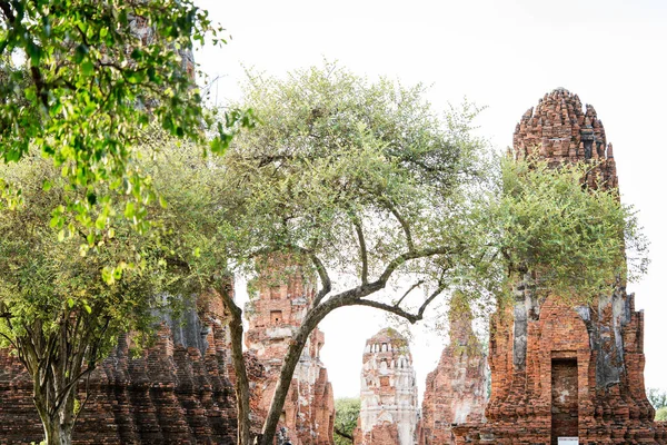 Architectuur Van Beroemde Oude Tempel Ayutthaya Tempel Phra Nakhon Ayutthaya — Stockfoto