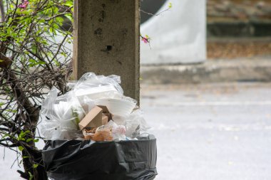 Parktaki elektrik direğinin yanındaki çöp kutusunun resmi.
