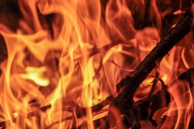 Gece şenlik ateşi yakın çekim. Yumuşak alev taşmaları. Yumuşak kırmızı ve turuncu tonları.