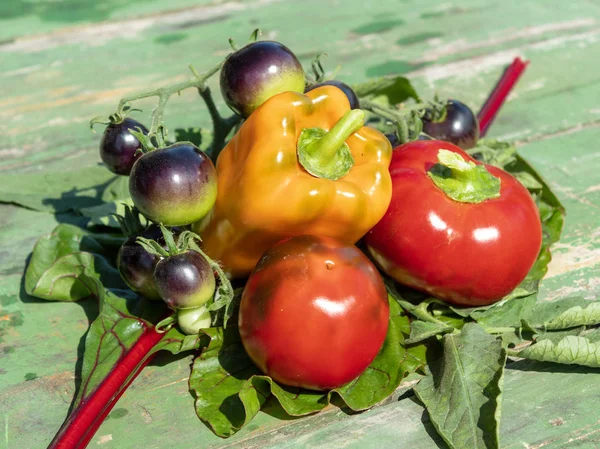 Mix of vegetables on green table: black tomatoes, red and orange sweet peppers. Blurred background.