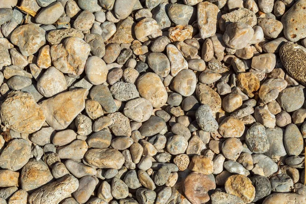 Stone Background Small Sea Pebbles — Stock Photo, Image