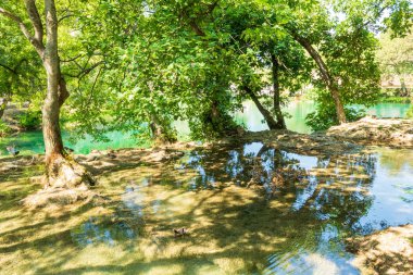 Bir dağ gölünün kristal berraklığında suyu. Turkuaz rengi. Ağaçlar ve gökyüzü suya yansır. Krka Ulusal Parkı, Hırvatistan.