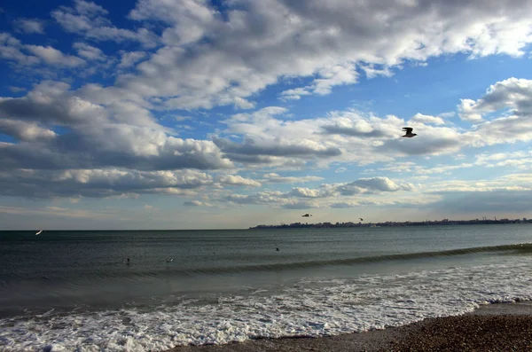 Day Black Sea — Stock Photo, Image