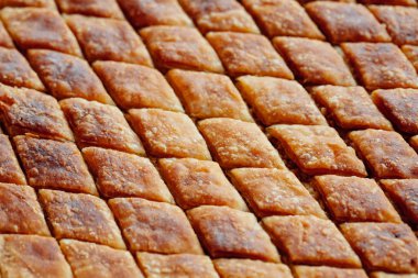 ev yapımı ceviz ziyafet baklavası. Geleneksel Türk tatlısı Ramazan ve kurban bayramı