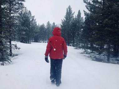 Ormanda kış yürüyüşü