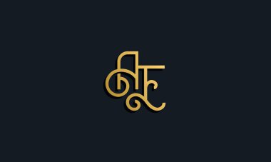 Lüks moda ilk harf AE logosu. Bu simge modern yazı karakterini yaratıcı bir şekilde birleştirir. Bu başlangıç için hangi şirket veya markanın adı uygun olacaktır.