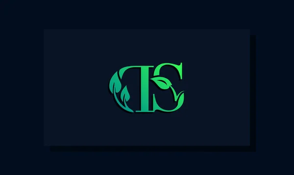 Style Feuille Minimal Logo Initial Logo Incorporer Avec Feuille Deux — Image vectorielle