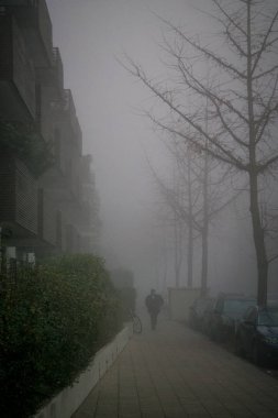 Sokakta çıplak ağaçlar ve sisli ve sisli günde adamın silueti, karanlık ve kasvetli ruh kavramı