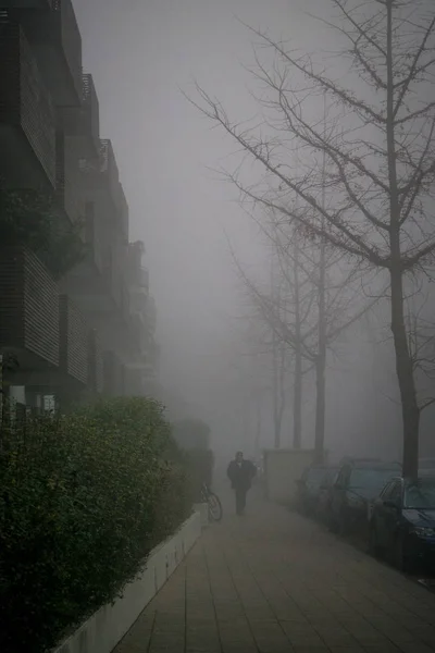 Nackte Bäume auf der Straße und die Silhouette des Mannes am neblig-nebligen Tag, Konzept der dunklen und düsteren Stimmung — Stockfoto