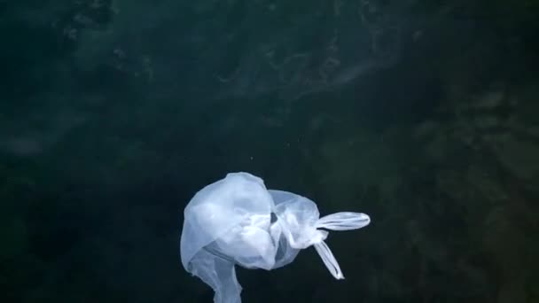 白いビニール袋は海の波に浮かんでいます 海のプラスチック 汚染された惑星 — ストック動画