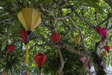 Fener Hoi An, Vietnam.