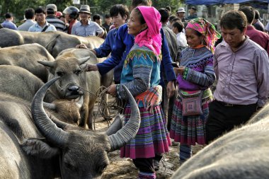 Bac ha, Vietnam-Ağustos 26, 2018: tanımlanamayan insanlar satın alma ve Pazar pazarında Buffalo satış 26 Ağustos, 2018 Bac ha, Vietnam.