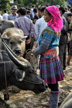 Bac ha, Vietnam-Ağustos 26, 2018: tanımlanamayan insanlar satın alma ve Pazar pazarında Buffalo satış 26 Ağustos, 2018 Bac ha, Vietnam.