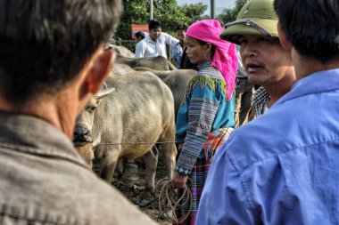 Bac ha, Vietnam-Ağustos 26, 2018: tanımlanamayan insanlar satın alma ve Pazar pazarında Buffalo satış 26 Ağustos, 2018 Bac ha, Vietnam.