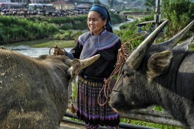 Bac ha, Vietnam-Ağustos 26, 2018: tanımlanamayan insanlar satın alma ve Pazar pazarında Buffalo satış 26 Ağustos, 2018 Bac ha, Vietnam.