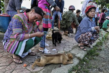 Bac ha, Vietnam-Ağustos 26, 2018: tanımlanamayan insanlar satın alma ve Pazar pazarında köpekler satış 26 Ağustos, 2018 Bac ha, Vietnam.