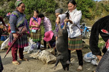 Bac ha, Vietnam-Ağustos 26, 2018: tanımlanamayan insanlar satın alma ve Pazar pazarında domuz satış 26 Ağustos, 2018 Bac ha, Vietnam.
