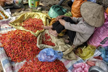 Old vietnamese man selling chili peppers in Bac Ha, Vietnam. clipart