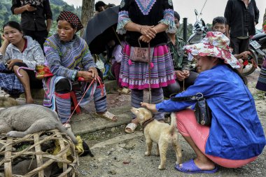Bac ha, Vietnam-Ağustos 26, 2018: tanımlanamayan insanlar satın alma ve Pazar pazarında köpekler satış 26 Ağustos, 2018 Bac ha, Vietnam.